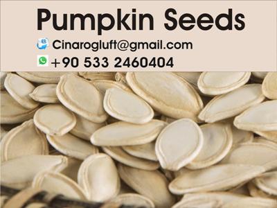 healthy roasted pumpkin seeds recipes
