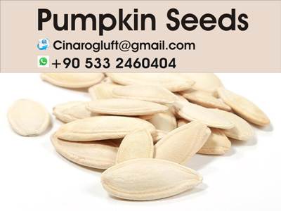 Best seasoning for roasted pumpkin seeds
