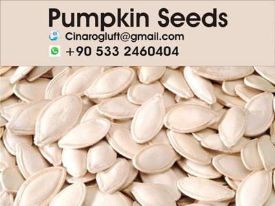 roasted pumpkin seeds for sale
