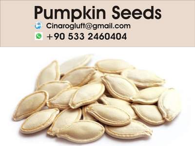 perfect roasted pumpkin seeds
